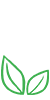 极速入网